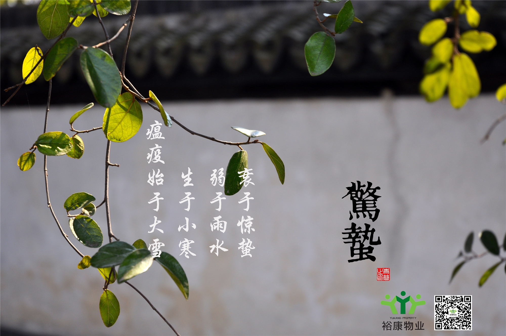 庚子春，二月十二，驚蟄日