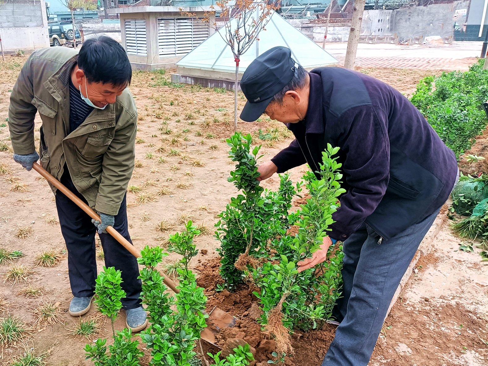 “綠色呼吁”——?？滴飿I(yè)植樹活動